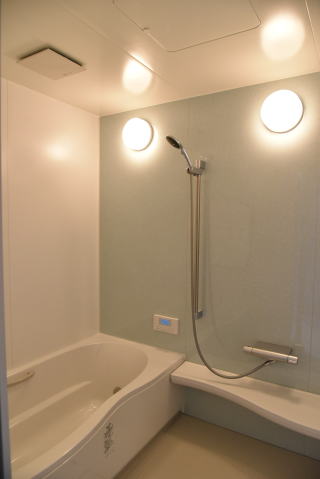 2灯照明のアクセント壁のあるバスルーム