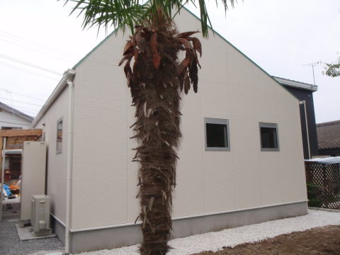 茶色の板塀と白い外壁の片流れ屋根の平屋